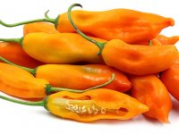 Aji Amarillo Chili