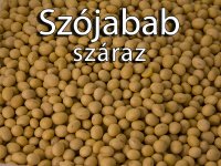 Szójabab, száraz 500g - Szójatejnek, Tofu-nak