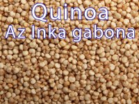 Quinoa, az Inkák gabonája