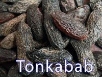 Tonkabab