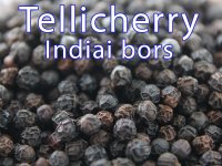 Tellicherry Bors, Indiai Bors