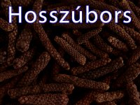 Hosszúbors